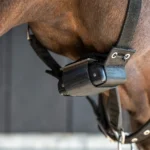 Nahaufnahme des Geburtsmelders, der am Halfter einer trächtigen Stute befestigt ist
