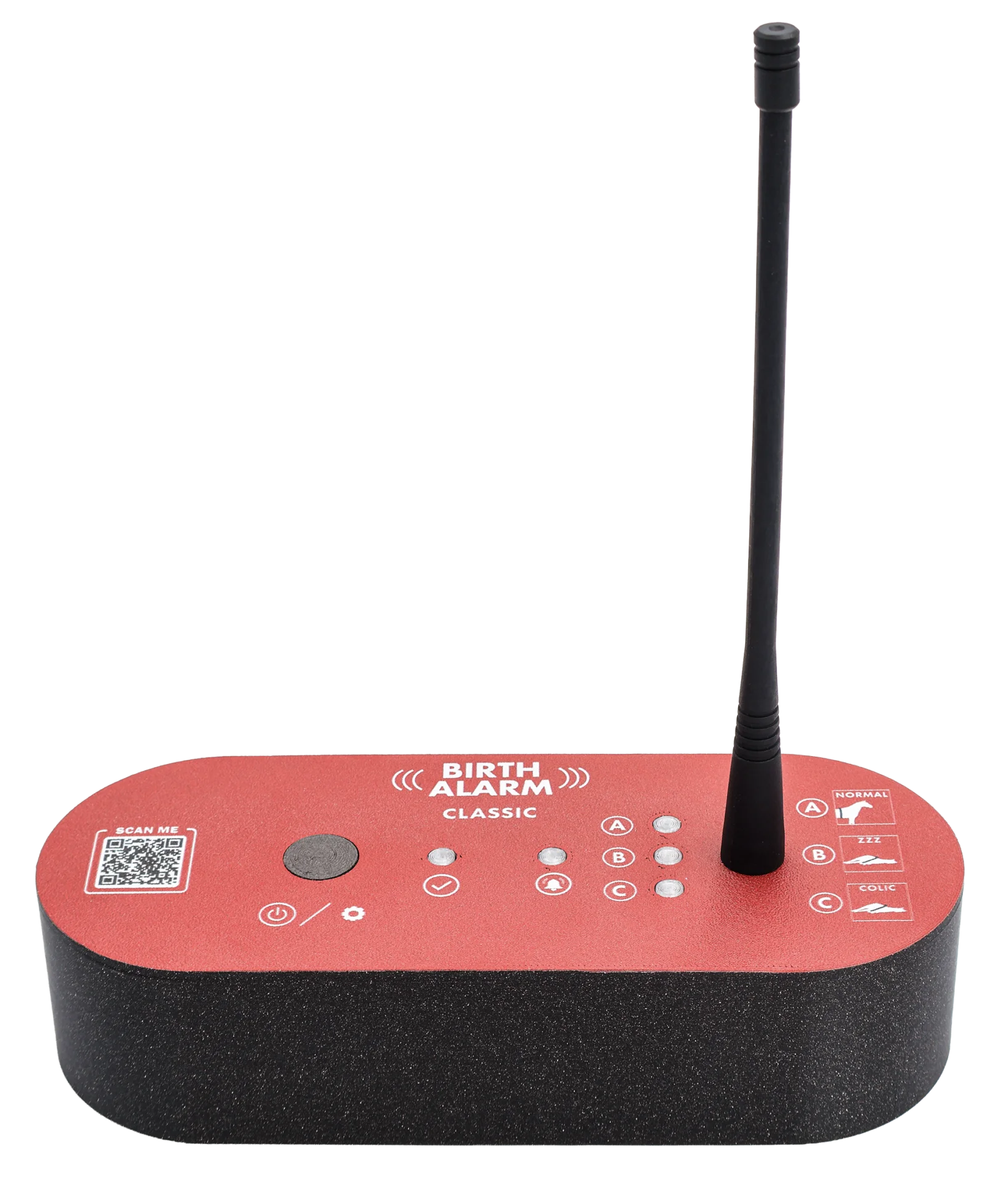 029273 Birth Alarm Classic ontvanger